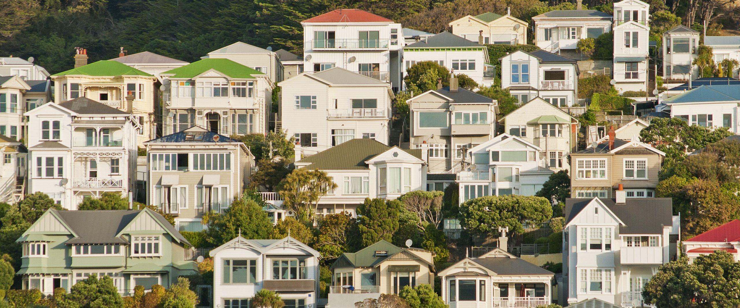 New Zealand houses